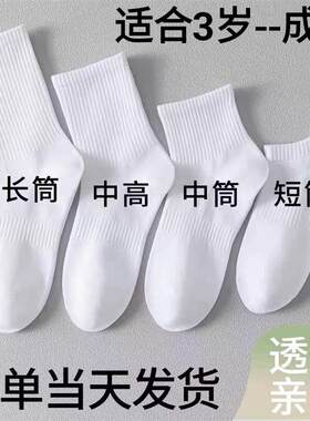 儿童袜子夏季薄款白色棉袜男童女童短袜运动中筒白袜小童学生长袜