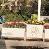 户外不锈523种高植箱架组合庭院阳钢台花广场花槽隔断移动花树池