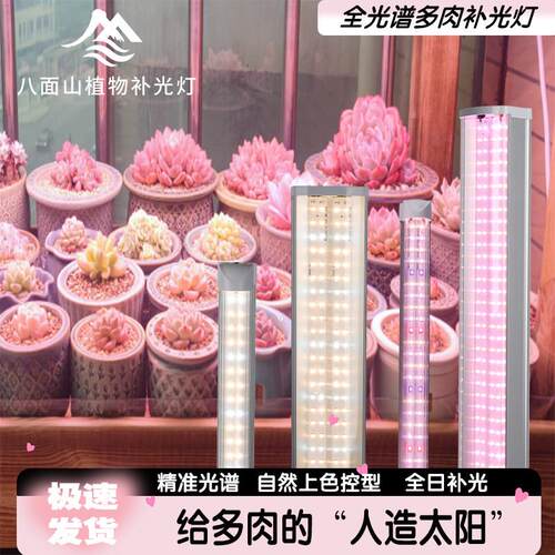 八面山全光谱多肉补光灯植物生长灯室内阳台花卉LED植物补光灯