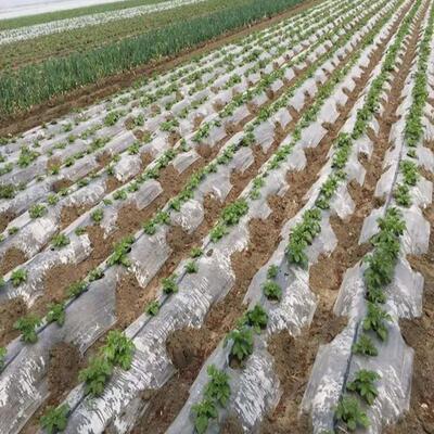农用白色膜膜塑料UPD薄加厚大棚农地膜用花生玉米种植保温保湿透