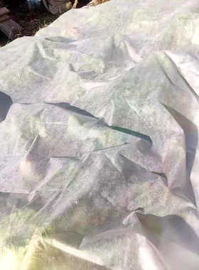 种植铺底秧育秧无纺布农用盘垫底无纺布盘白色水稻根苗一次性育苗