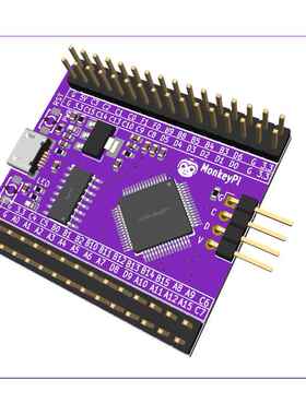 MonkeyPi-STM32G070小系统开发板USB转串口单片机核心板Arduino