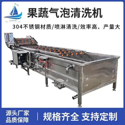 鼓泡式果蔬气泡清洗机西蓝花生菜喷淋洗菜机酸菜气泡清洗机