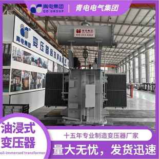 400 1250 6300KVA油浸式 S22系 青电变压器厂 变压器S20 S13
