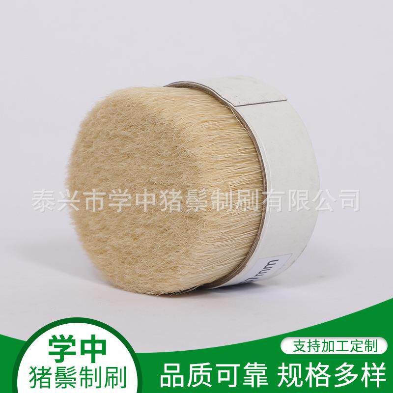 厂家供漂白水煮猪鬃毛刷 猪 白LYD水煮猪鬃 猪鬃发梳漂用应切鬃刷