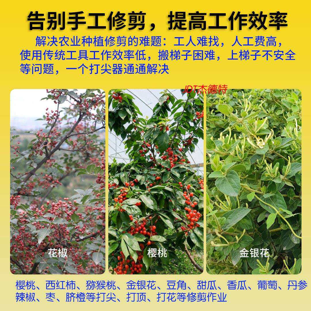 新款电动打尖电神器套打顶SAY机豆金银花椒葡萄角打头打花锂全逸