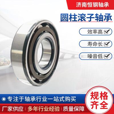 NJ224E 圆柱滚子轴承 NJ226M NJ228M NU230M NJ232EM NJ234EM