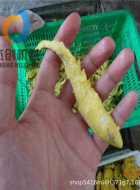 海泥鳅上粉机器 海产品上浆挂粉设备 小黄鱼上粉上浆生产线