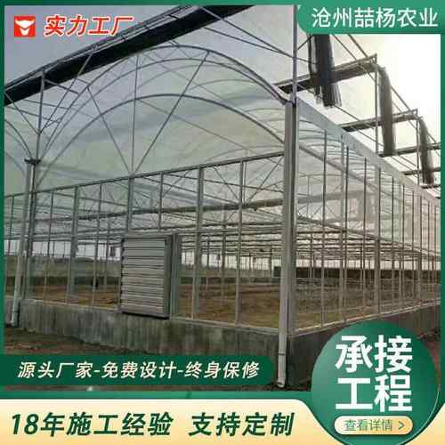 连栋保温大棚 农业种植大棚 双拱双模温室大棚 连栋温室保温棚