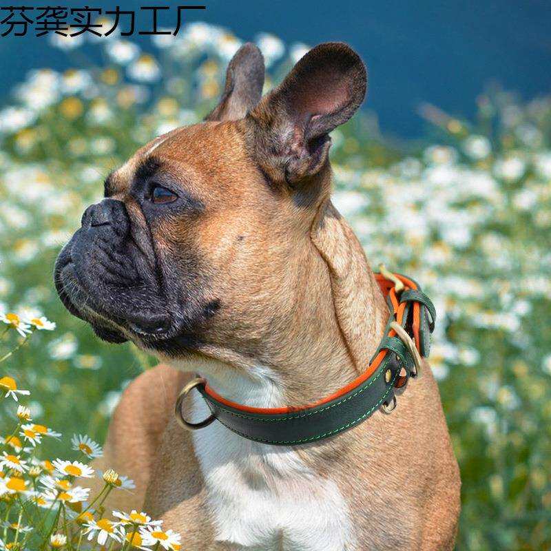 狗狗项圈刻字泰迪比熊柯基法斗防丢狗牌小型中型犬宠物狗脖圈