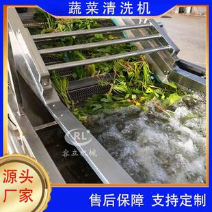 桂花金银花清洗去杂机全自动黄花菜清洗机 供应菊花清洗机气泡式