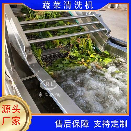 供应菊花清洗机气泡式桂花金银花清洗去杂机全自动黄花菜清洗机