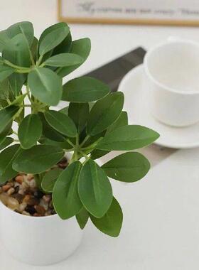 22cm Artificial Potted Plants Schefflera Octophylla Plastic