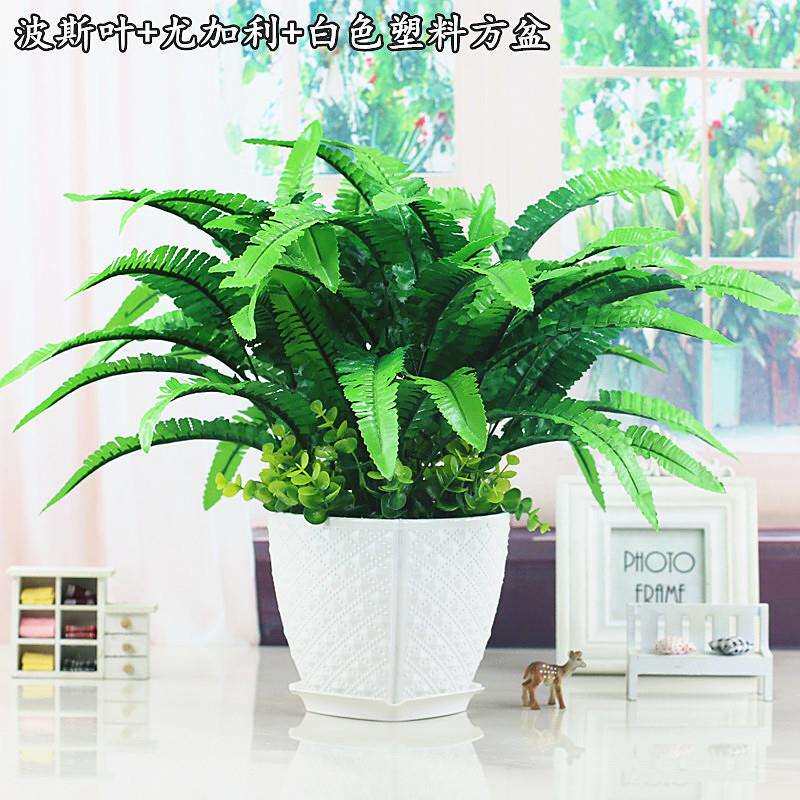 植物绿植套装摆件假草万年青盆栽装饰花艺塑料假花草