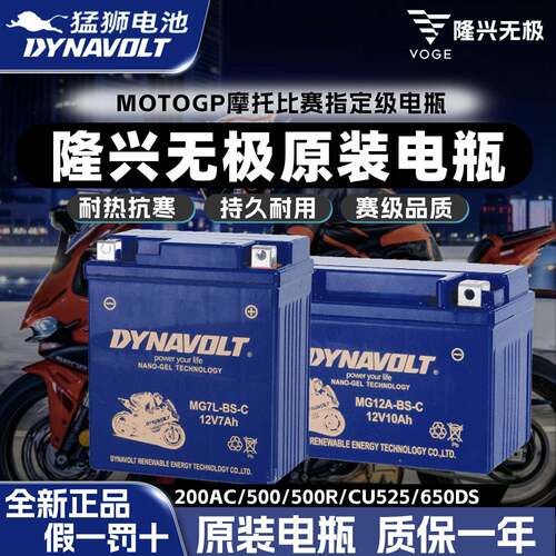 隆鑫无极200 300/500RAC CU525 650DS摩托车全新原厂正品猛狮电瓶