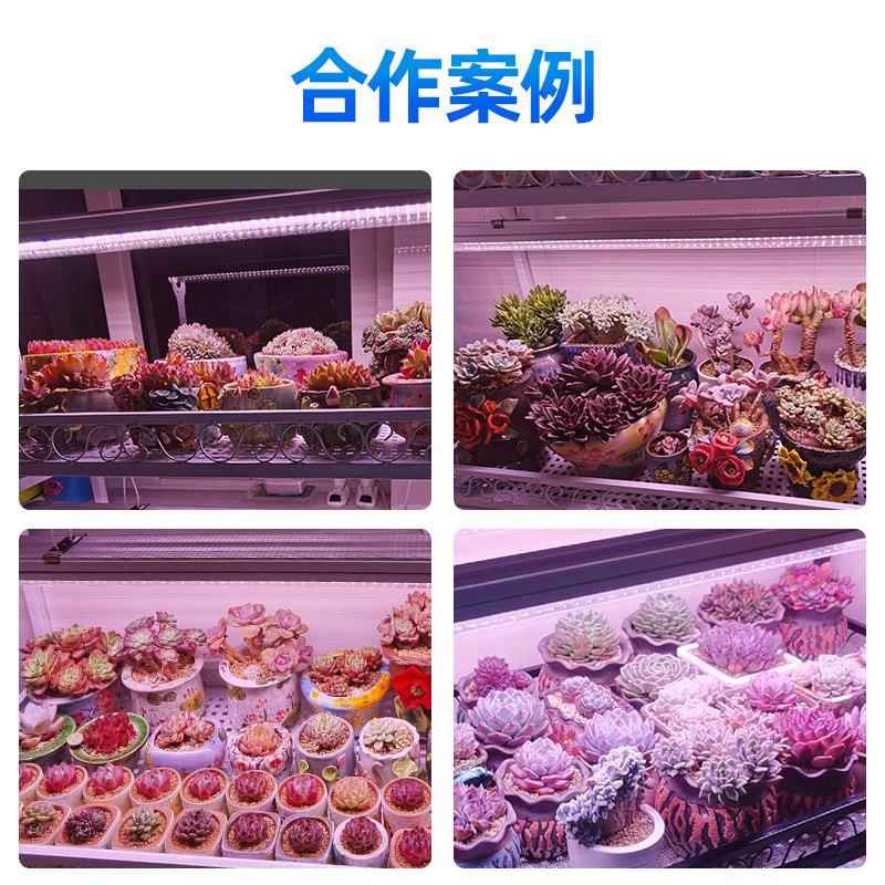 物之灯光多D肉补光上色全光谱MAY多芯LE植物生植长灯图片