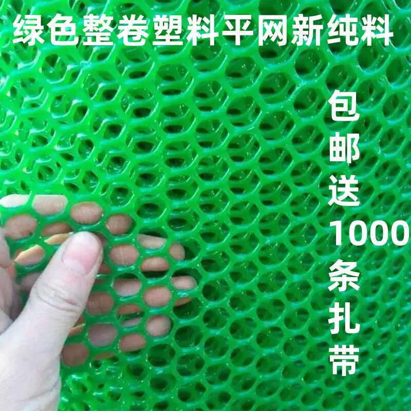 绿色整卷塑料平网育雏网床漏粪小鸡防逃隔离网鸡鸭鹅网养殖垫围