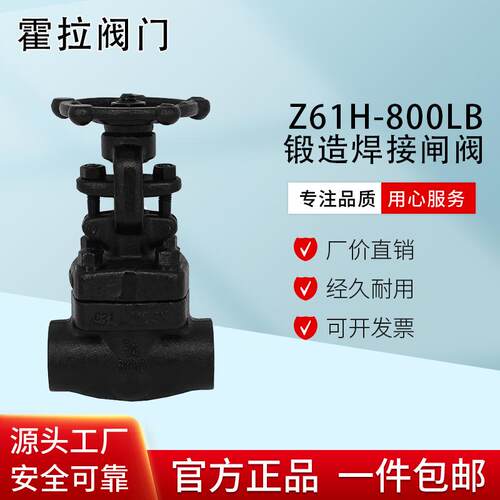 Z61H-800LB锻钢承插焊闸阀高温高压导热油蒸汽闸阀425度DN15PN64