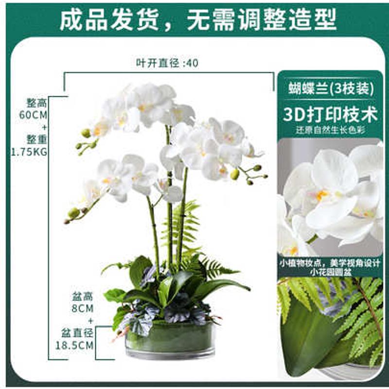 客厅装假蝴蝶兰花卉花可代发摆放手感【 pu套】玄关门店盆栽