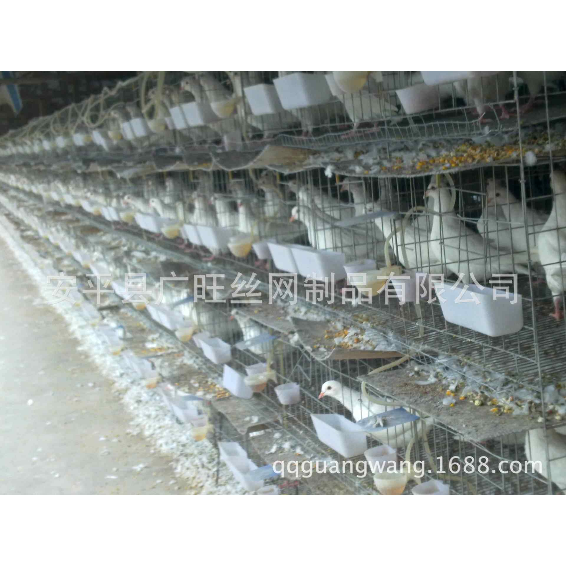 广旺丝网 厂家鸽笼 左右推拉门鸽子笼 三层鸽笼 四层鸽笼图片