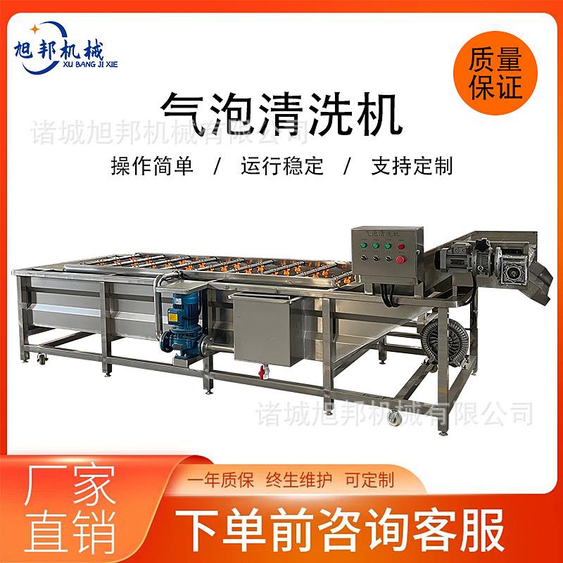 豌豆芽高压气泡清洗机 红魔虾高压喷淋机器 薄荷叶涡流清洗设备