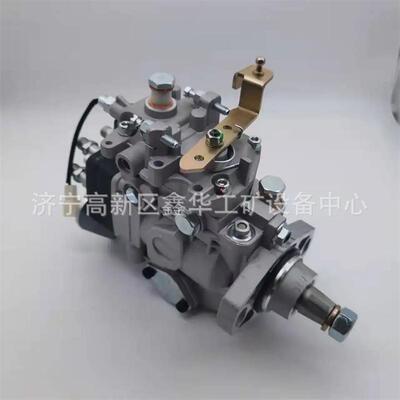 VE泵总成22100-17010 2210017010厂家直销优质现货