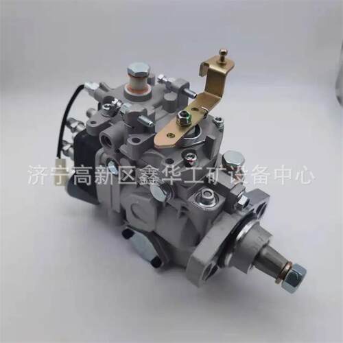 VE泵总成22100-17010 2210017010厂家直销优质现货