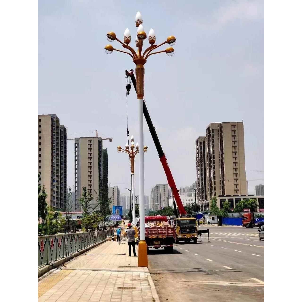厂家直销中华灯玉兰灯广场庭院市政道路景观灯防水高杆灯庭院路灯