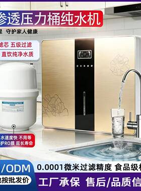 反渗透RO净水器家用厨房直饮自来水过滤器五级除垢压力桶纯水机