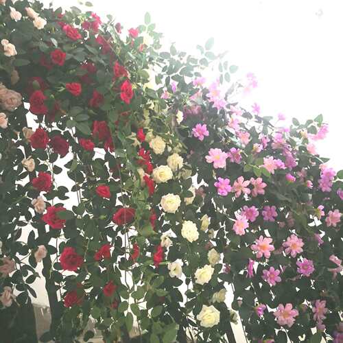 仿真玫瑰花挂家居装饰挂花玫瑰花藤造景蔷薇花藤蔓仿真花绢花
