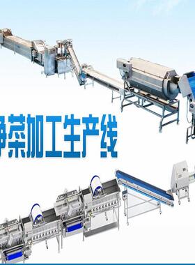 大洋净菜加工生产线支持定制蔬菜加工流水线根茎类蔬菜加工机械
