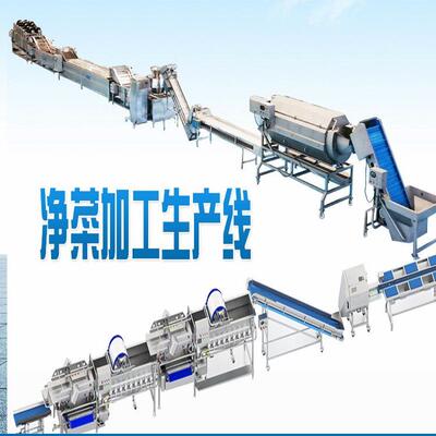 净菜加工生产线支持定制蔬菜加工流水线根茎类蔬菜加工机械