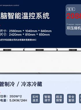 珠峰大容量三门冷冻柜商用冷柜节能1274升能单温双机节能爆款
