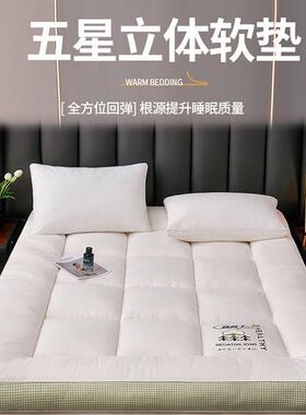 绣夫人A类大豆al745纤加体厚立床垫软垫家用学生宿花舍单人通用床