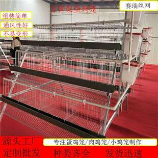 三层四层阶梯式蛋鸡笼笼具家用养殖场自家工厂鸡舍鸡窝