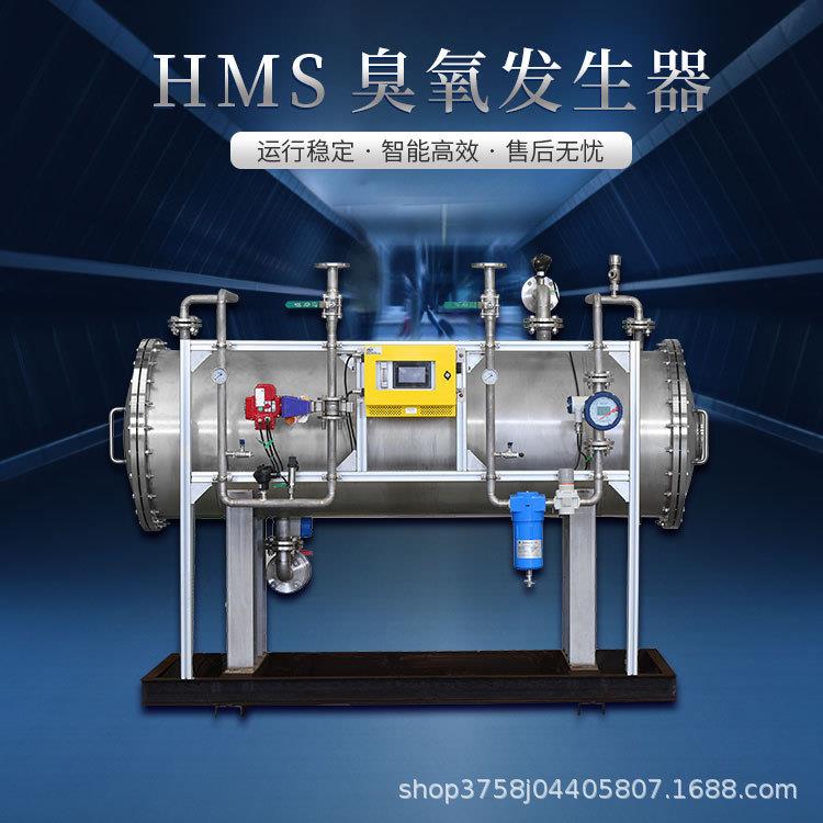 大型臭氧发生器厂家化工污水处理降COD高浓度臭氧发生器设备