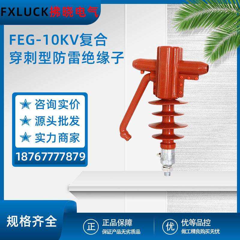 FEG-12/5复合穿刺式防雷针式绝缘子高压支柱FXG-10KV硅橡胶线路型