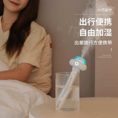 新款便携式手提加湿器纳米喷雾补水仪小型迷你萌宠家用桌面无水箱