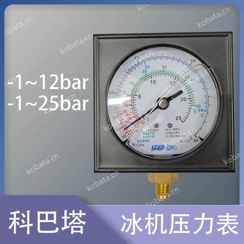 冰机压力表1541.184 雪种表 真空压力表 -1-12bar -1-25bar