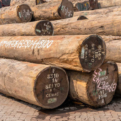 利红樱桃坎沙比工艺品 板材奥利原木 供应沙比实木 厂家原料