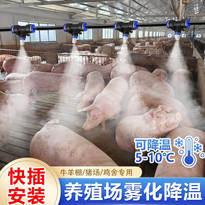 养殖场降温喷雾系统猪场鸡舍养牛降温加湿专用设备雾化喷雾头喷淋