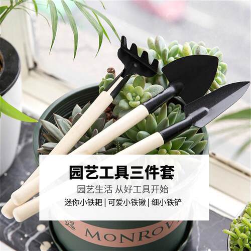 A three-piece gardening tool set for home use, including a n