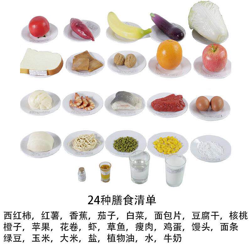 常用24种膳食宝塔模型金字塔中国居民营养平衡食物交换份道具