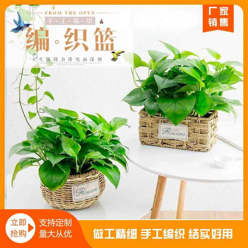 厂家草编花盆多肉花盆编织篮绿植花盆花店插花绿植花瓶藤编篮
