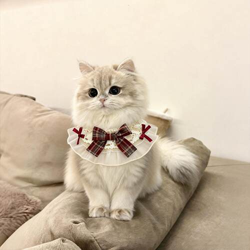 猫咪围脖宠物口水巾小配饰小猫围兜狗狗围巾装饰品新款脖饰0824k