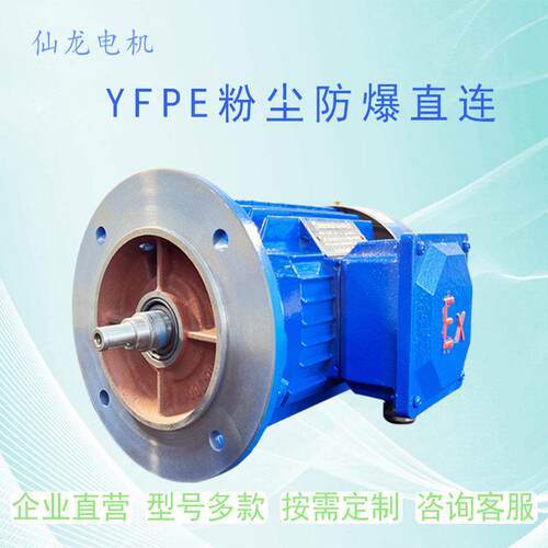 厂家直营YFPE粉尘防爆直连足功率B3B5B35型号全发货快速