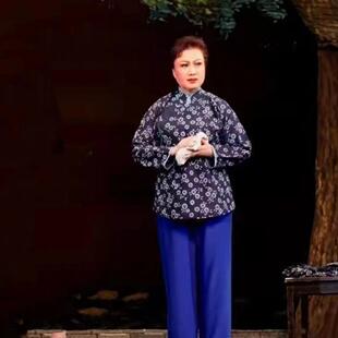 正品现代京剧沙家村浜演服装阿庆出嫂沙奶奶郭建光全套板戏姑样演