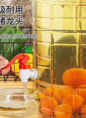 腌菜坛子家用玻璃密封罐泡酒玻璃瓶带龙头泡菜坛缸酿青梅葡萄跨境