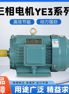 YE3三相异步电动机380V3KW4极0.55KW至4KW足功率高功率全铜