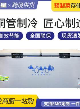 冰柜大容量商用冷冻柜急冻速冻操作台冰箱全铜管